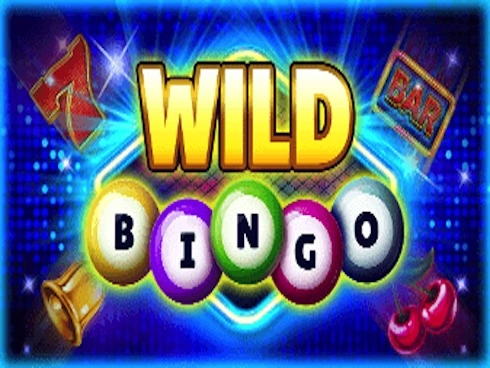 Wild Bingo